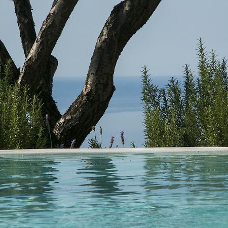 Yades Villas Athánion エクステリア 写真