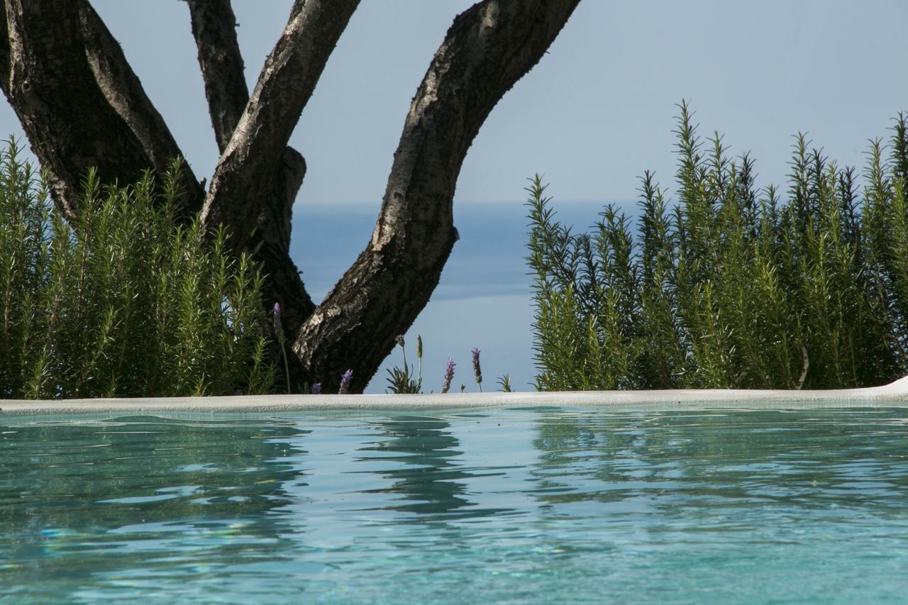 Yades Villas Athánion エクステリア 写真